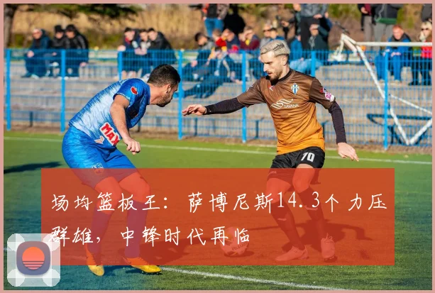 场均篮板王：萨博尼斯14.3个力压群雄，中锋时代再临
