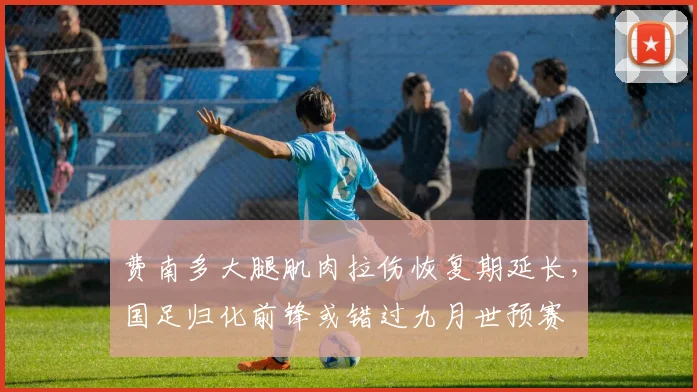 费南多大腿肌肉拉伤恢复期延长，国足归化前锋或错过九月世预赛